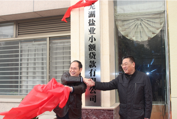芜湖非凡国际小额贷款有限公司12月26日举行开业庆典