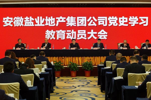 安徽非凡国际地产集团公司召开党史学习教育动员大会